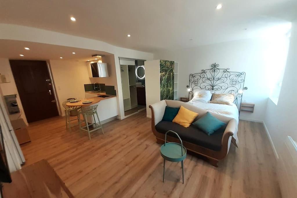 Classé 3 Etoiles IDEAL VIENNE Centre ville 20 min de LYON - Housity
