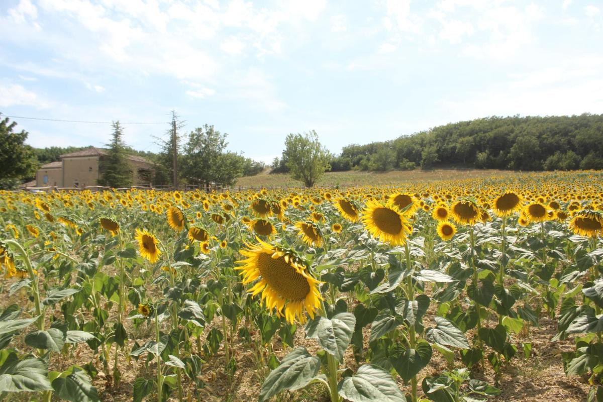Domaine de la Couderquié - Housity