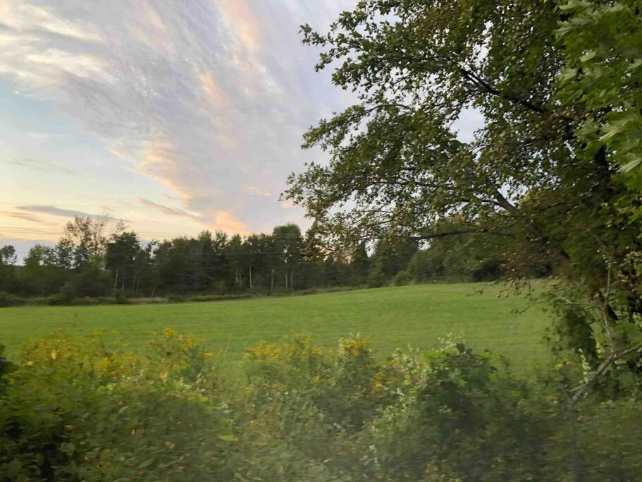 Hilton Valley Guest House - Housity