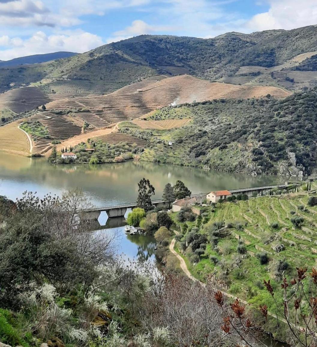 Quinta da Ferradosa Wines - Housity