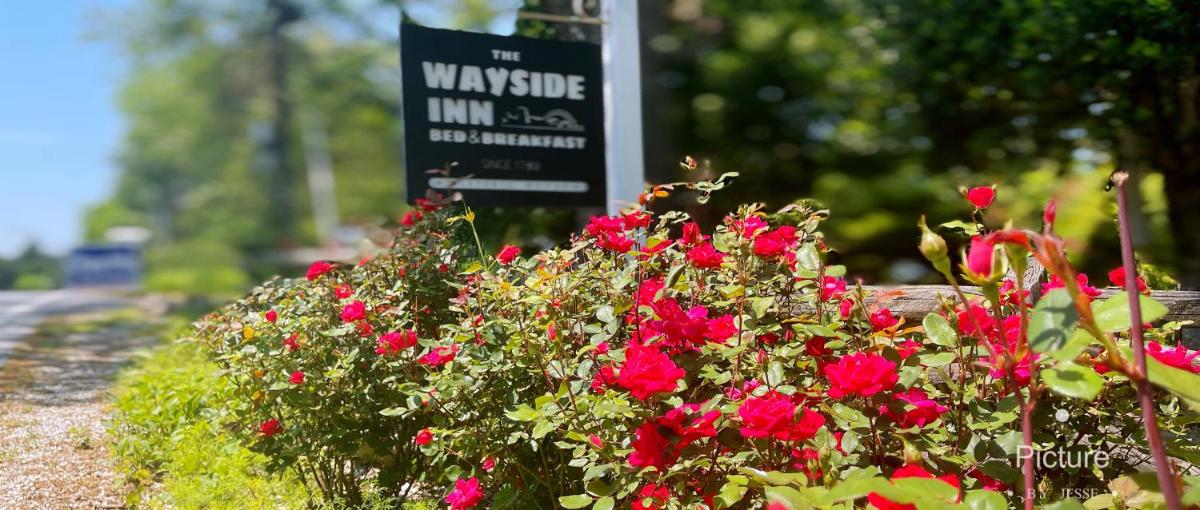 Wayside Inn Bed and Breakfast - Housity