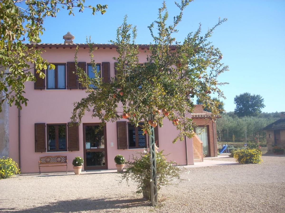 Agriturismo La Rosa Montefalco - Housity