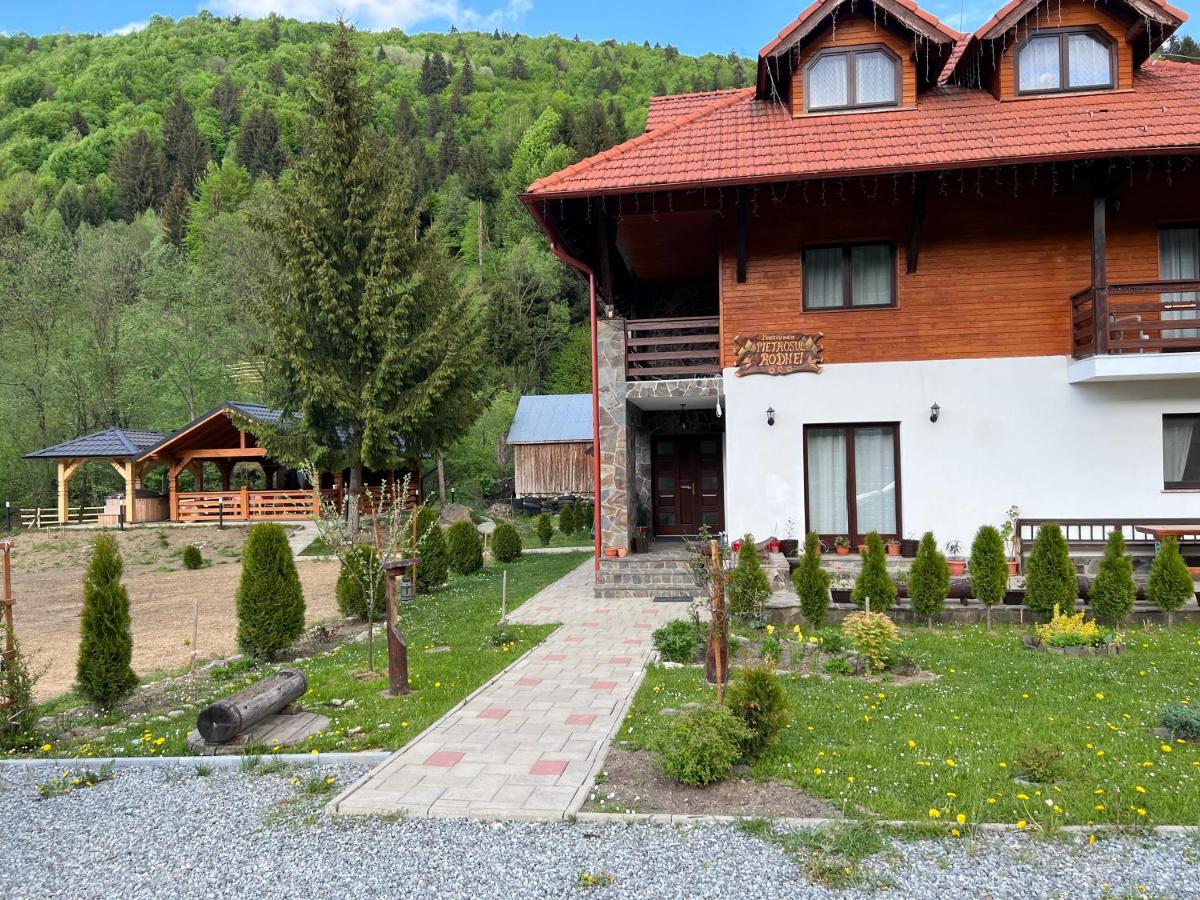 Pensiunea Pietrosul Rodnei - Housity