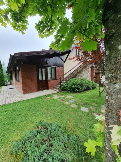 Poiana - Apuseni Mountains - Housity