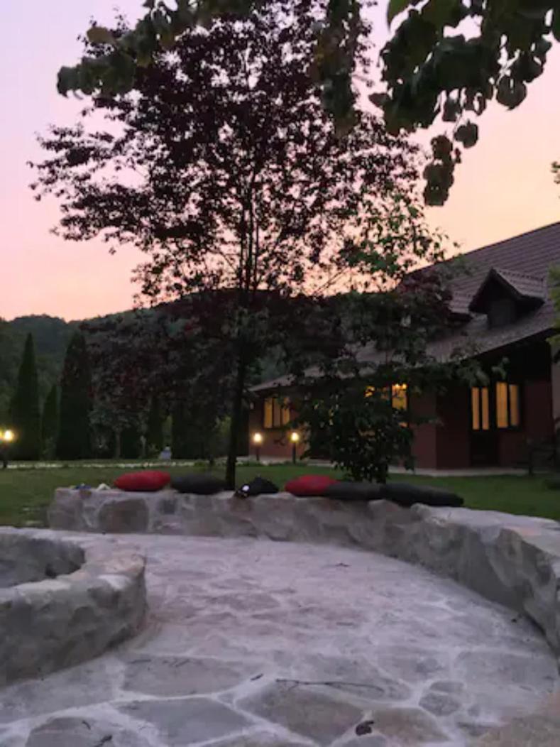 Poiana - Apuseni Mountains - Housity
