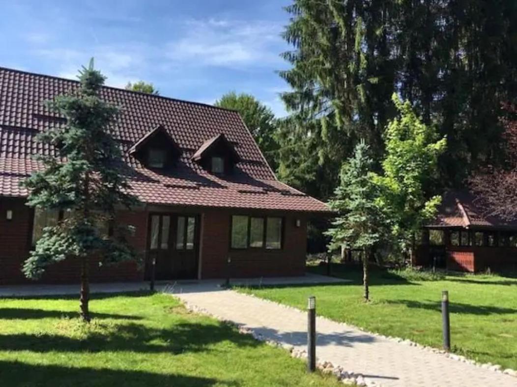Poiana - Apuseni Mountains - Housity