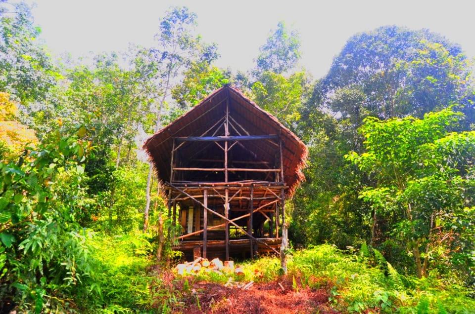 Bukit Lawang- Jungle trekking - Housity