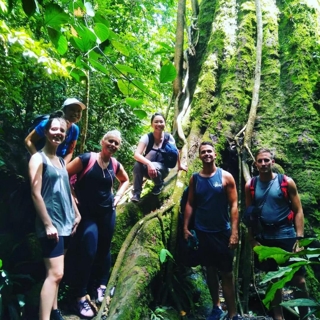 Bukit Lawang- Jungle trekking - Housity