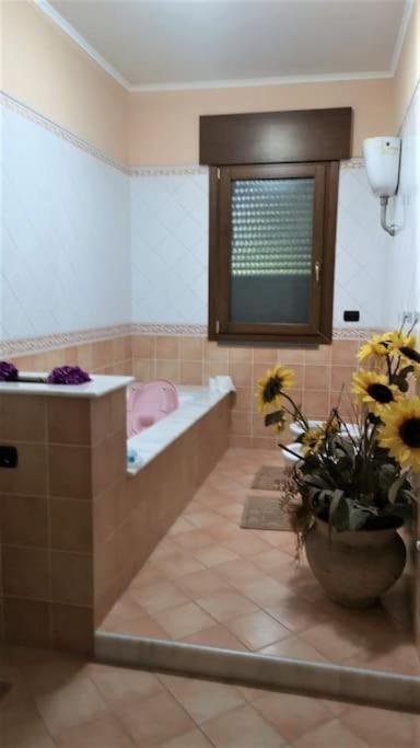 Villa Daniela - Housity