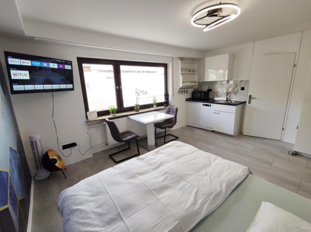 Business Style Apartment Ludwigshafen *Free Parking and WiFi* - Housity