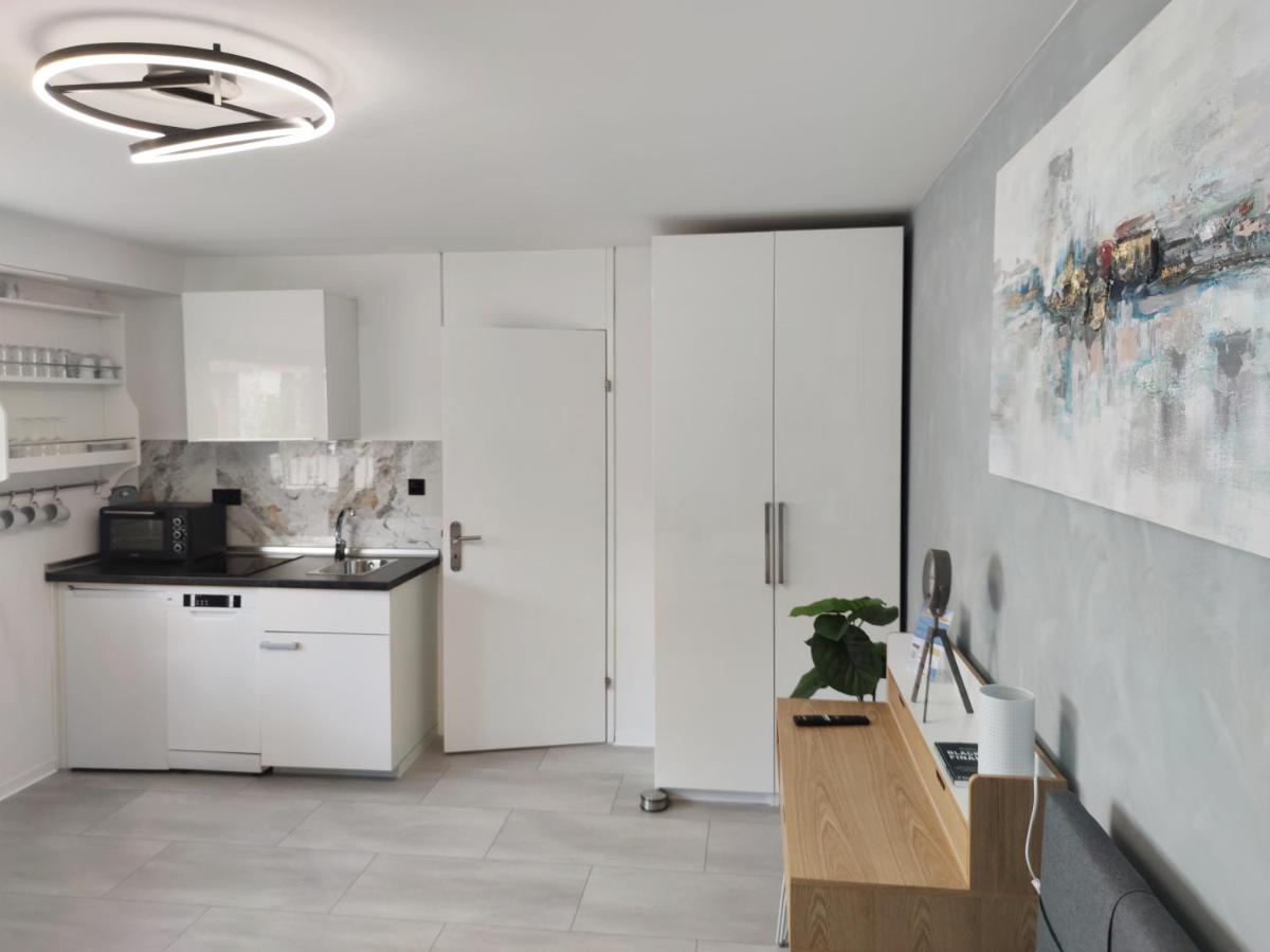 Business Style Apartment Ludwigshafen *Free Parking and WiFi* - Housity