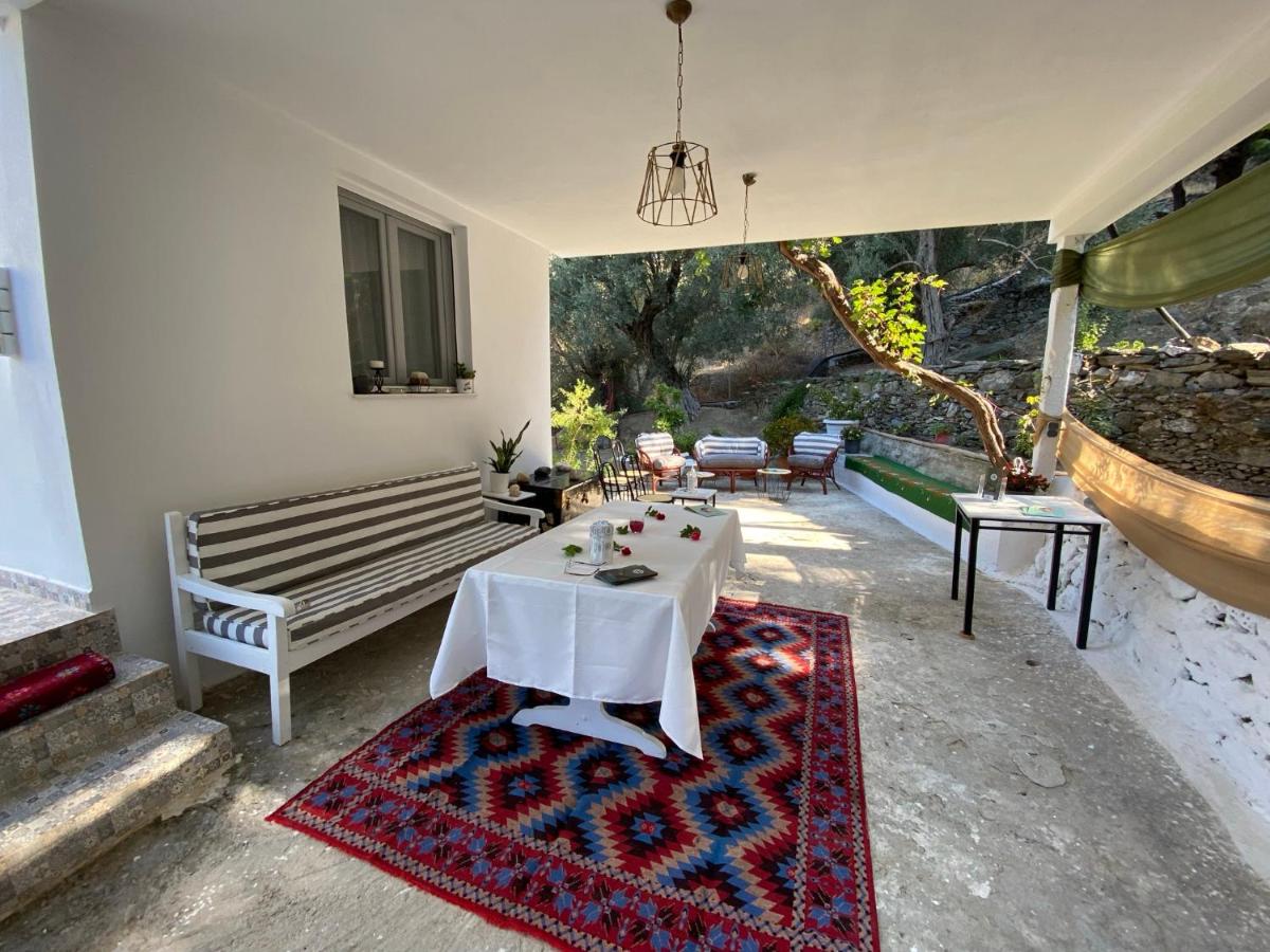 House with beautiful garden in Plomari - Housity