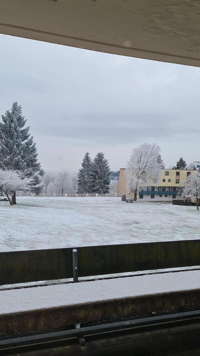 Apartament Sophia - Housity