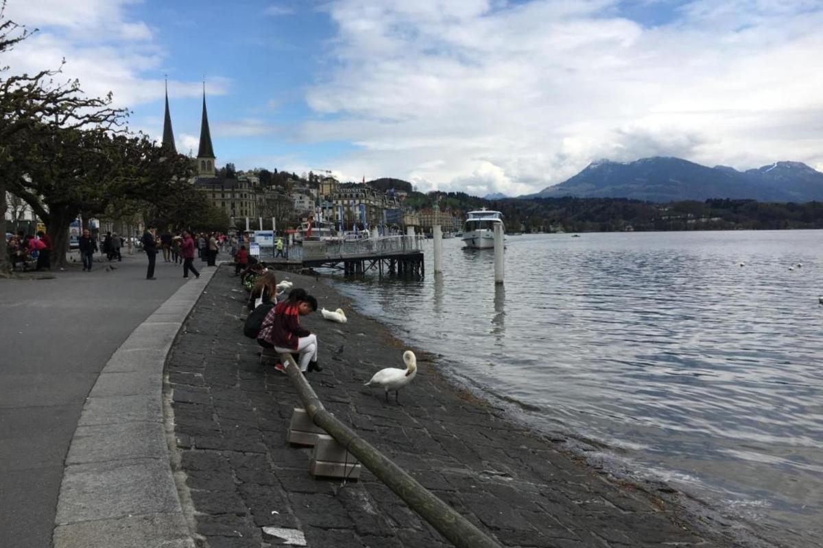 Suitetrails - Affordable rooms in heart of Lucerne