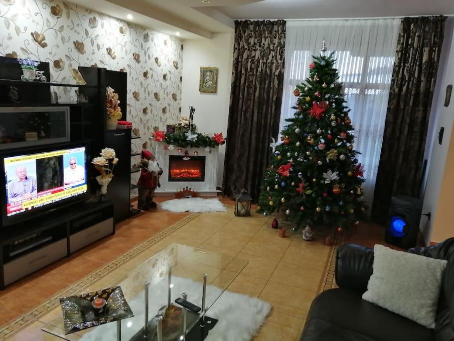 Casa Mona - Housity