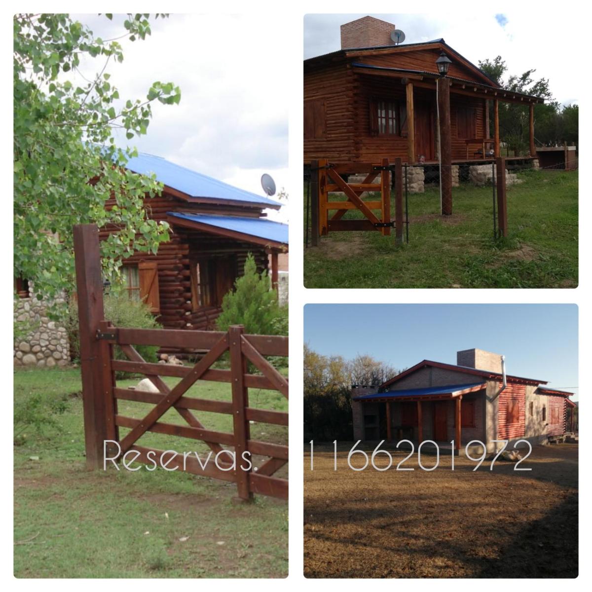 Azul - Housity