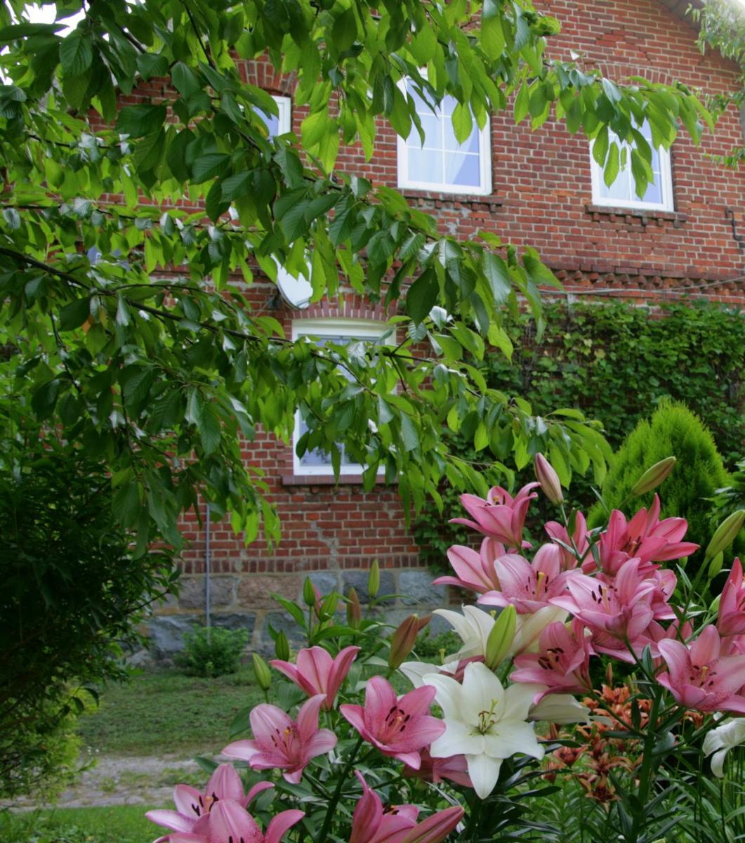 Agroturystyka Pod Dębem - Housity