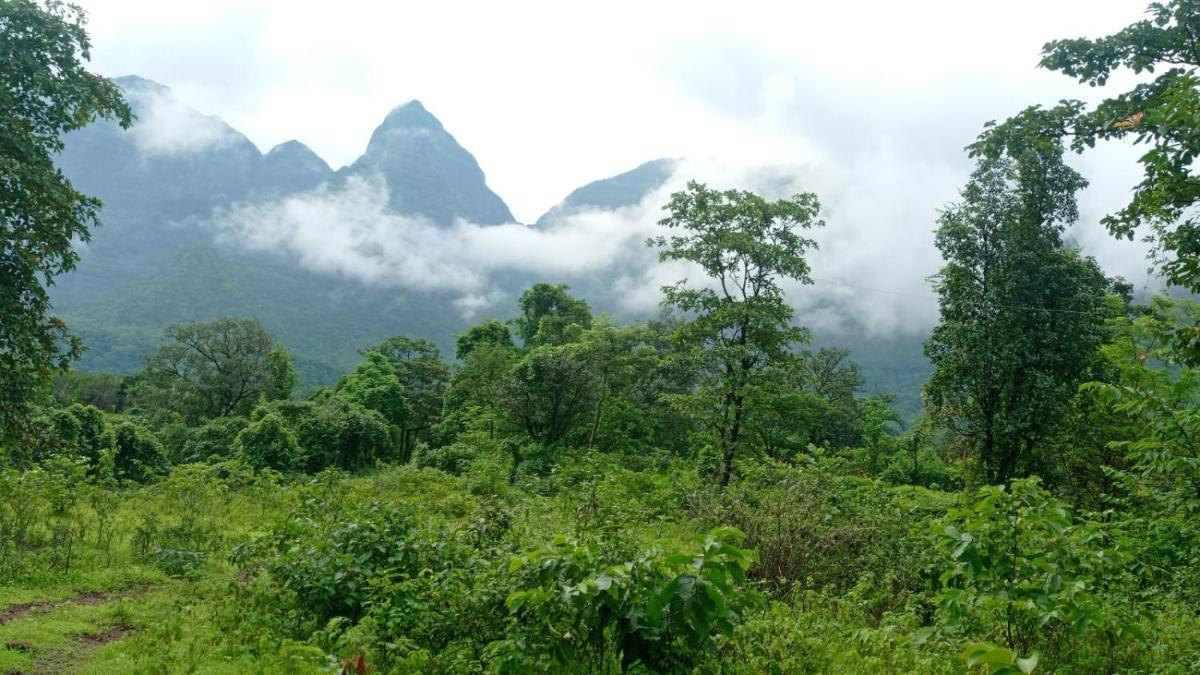 Weekend Villa at Nature's Lap (Malshej Ghat) - Housity