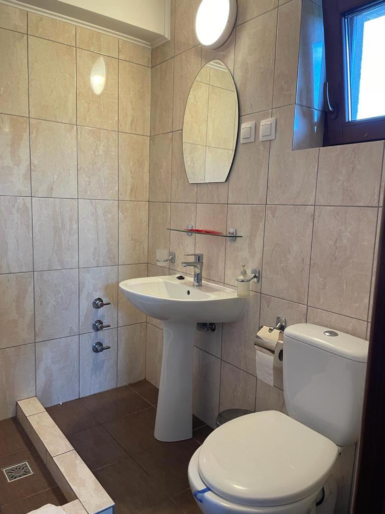 Pensiunea Rares - Housity