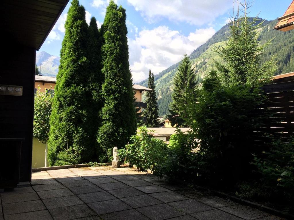 Haus Schareck - Housity