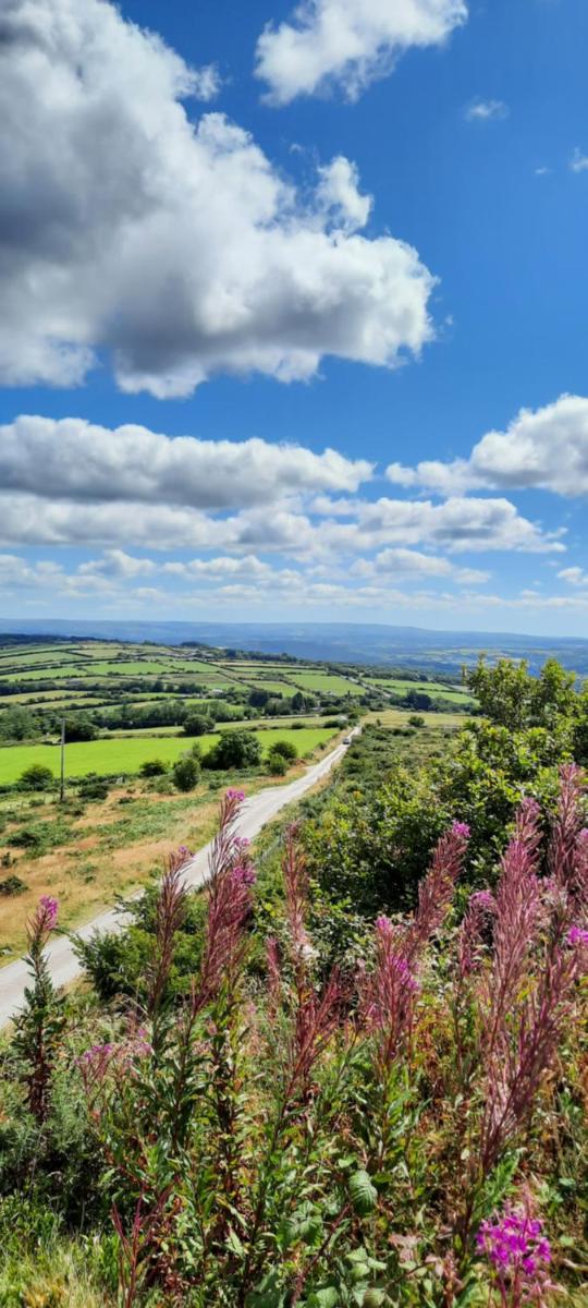 Summit Camping Kit Hill Stunning views Grass pitch or upgrade to Bell tent hire - Housity