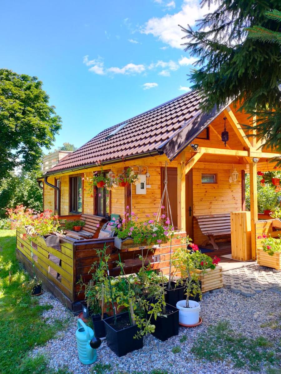 Rodzinna Przystań - Housity