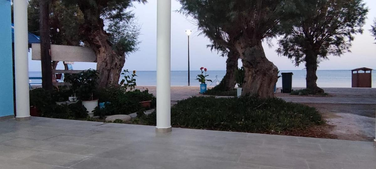 TAVARI HOUSE - Housity