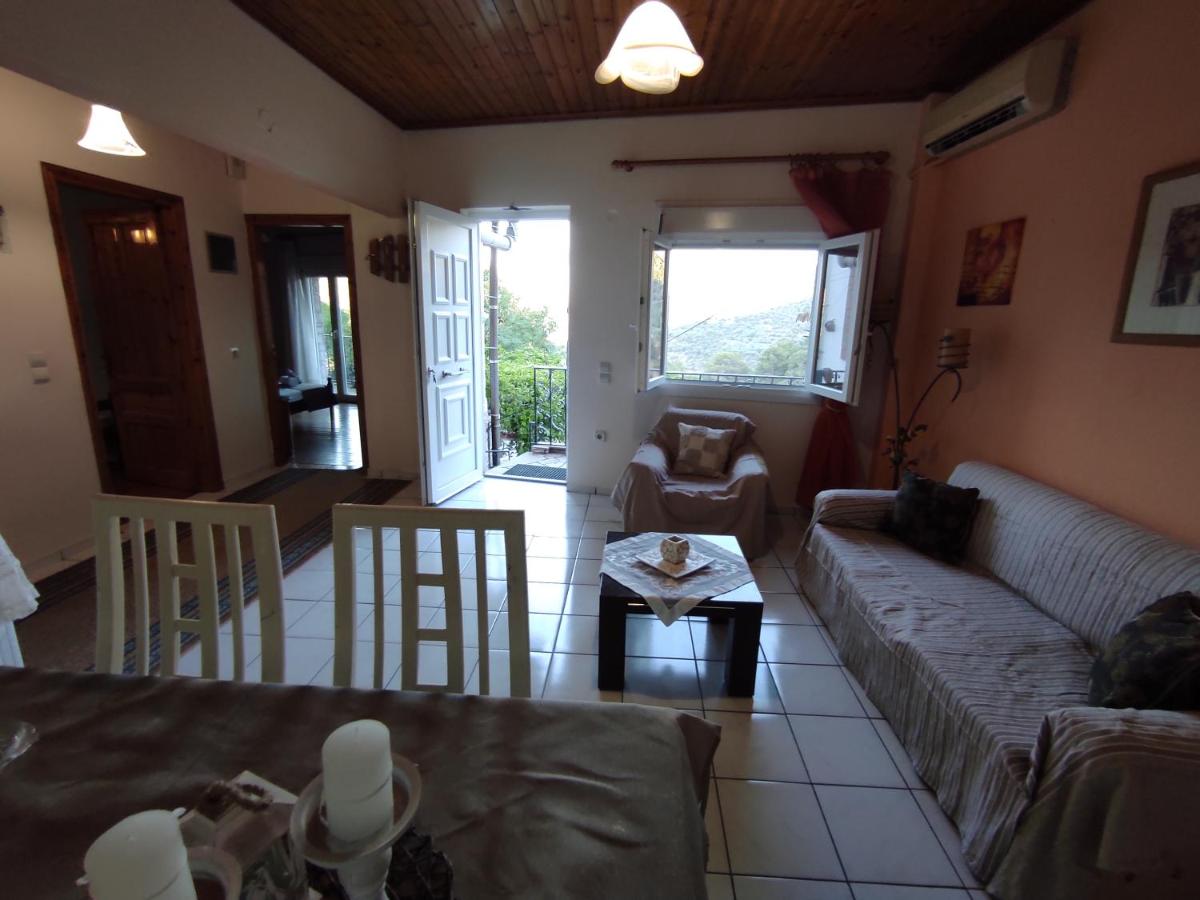 LAFION HOUSE - Housity