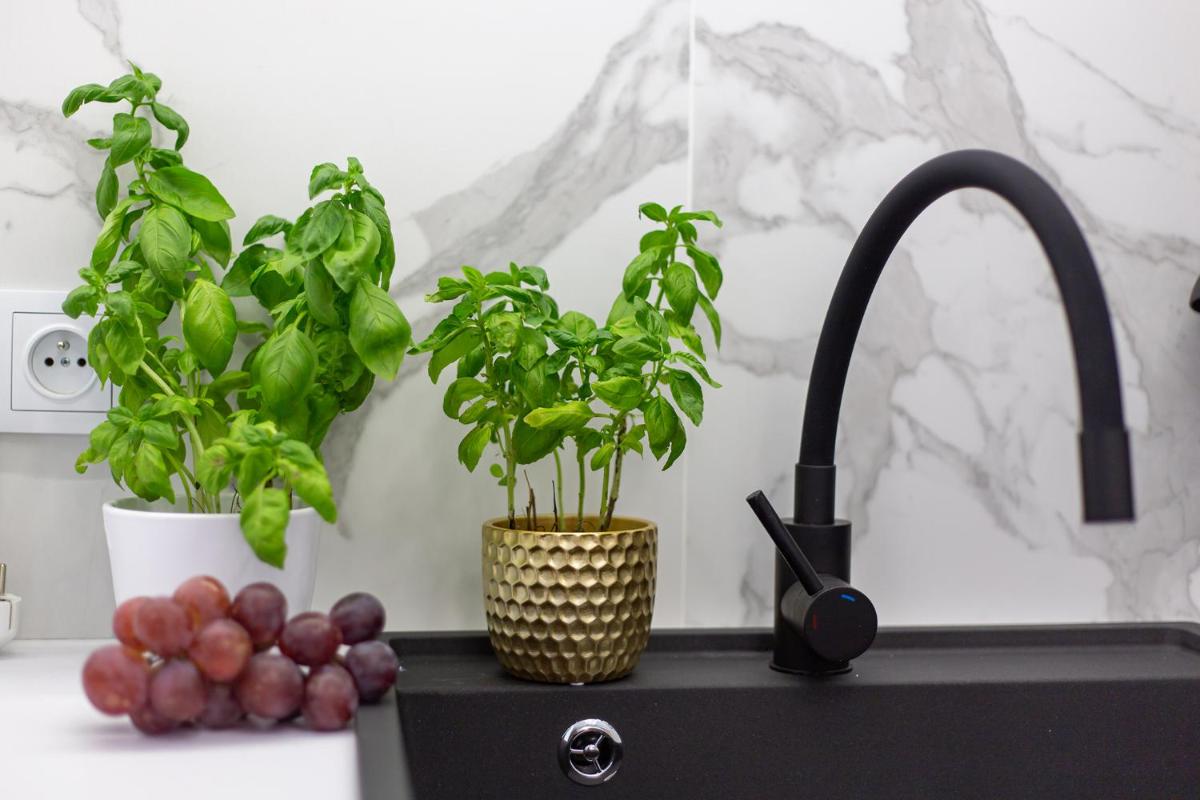 Hillside7 Micro-Apartment 16 - Housity