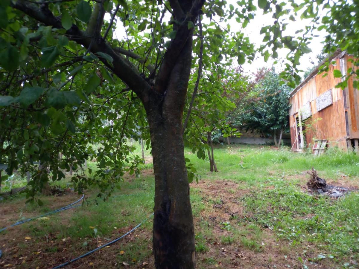 Müstakil bağ evi Trabzon derecik sera gölün den 7 km uzakta - Housity