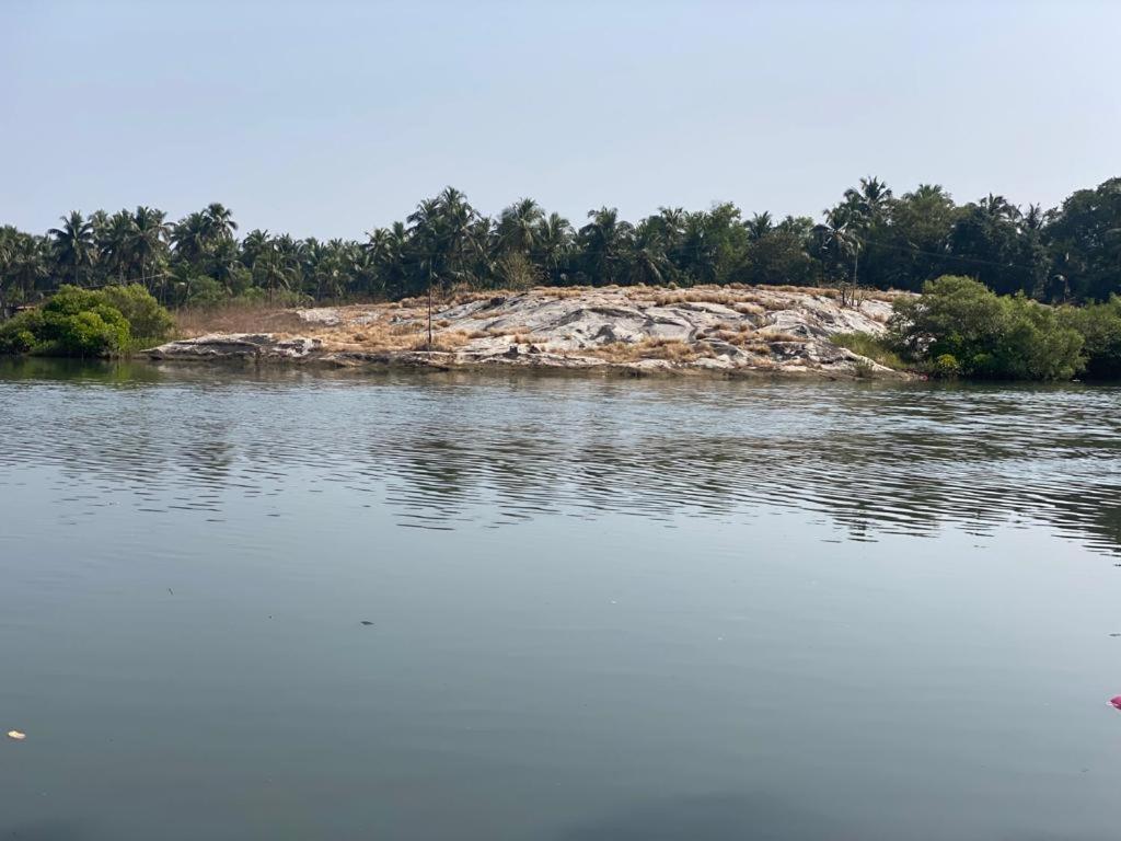 Rock N riveR - Housity