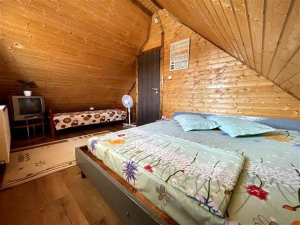 Cabana Florina Aleea 2 nr 83 - Housity