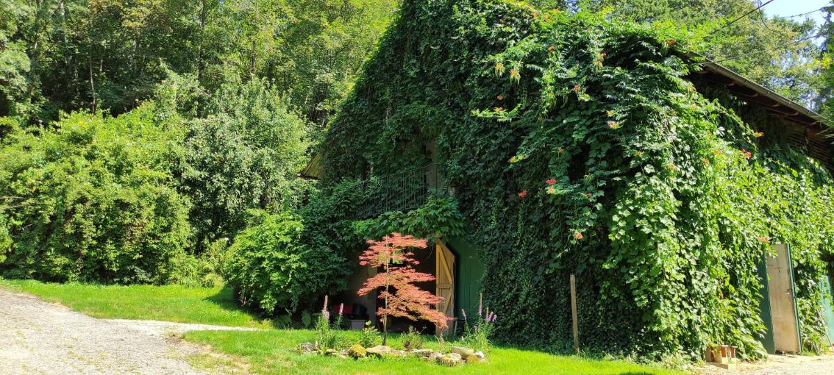 Fuchsbauerhof - Ferienwohnung - Housity