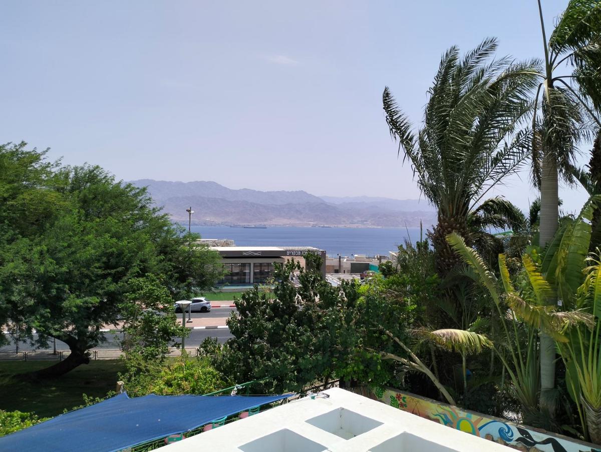 Dive Time - Housity