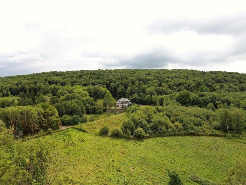 Totale Ruhe im Wald - Housity