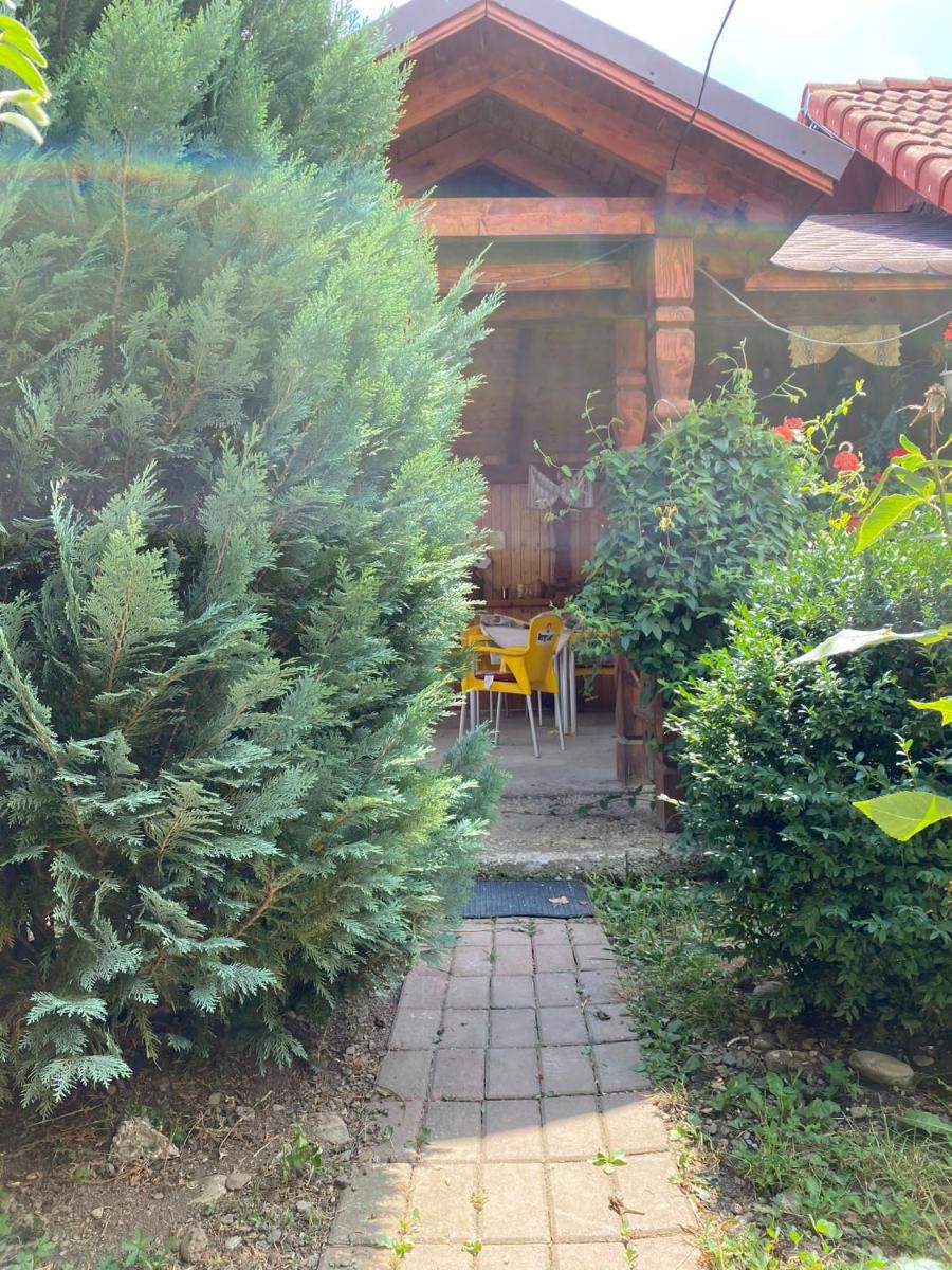 Casa Viki - Housity