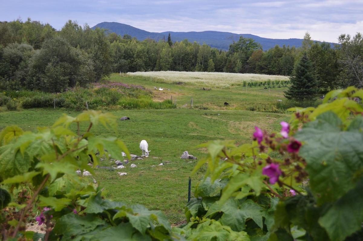 Mount Harmony Farm Guest House - Housity