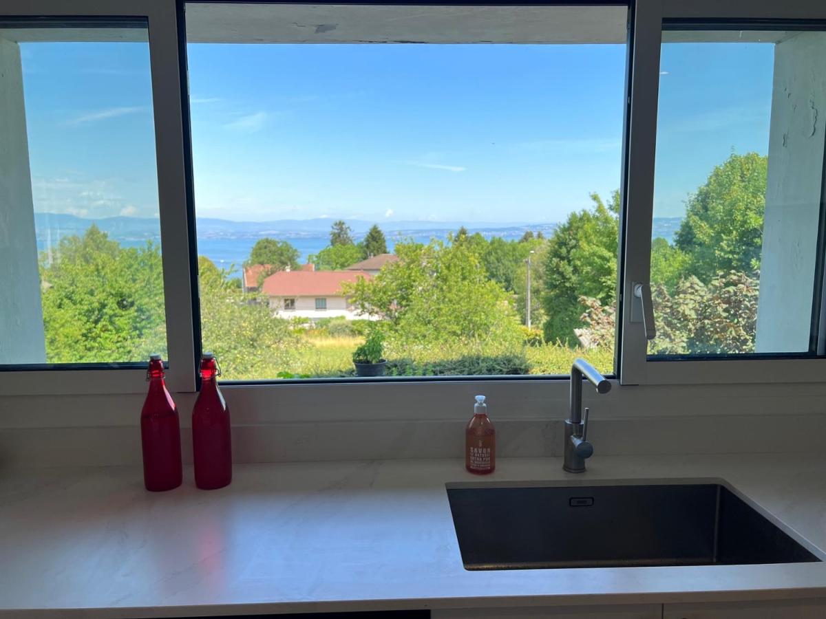 Maison calme avec jardin et WiFi à Évian-les-Bains - FR-1-498-79 - Housity