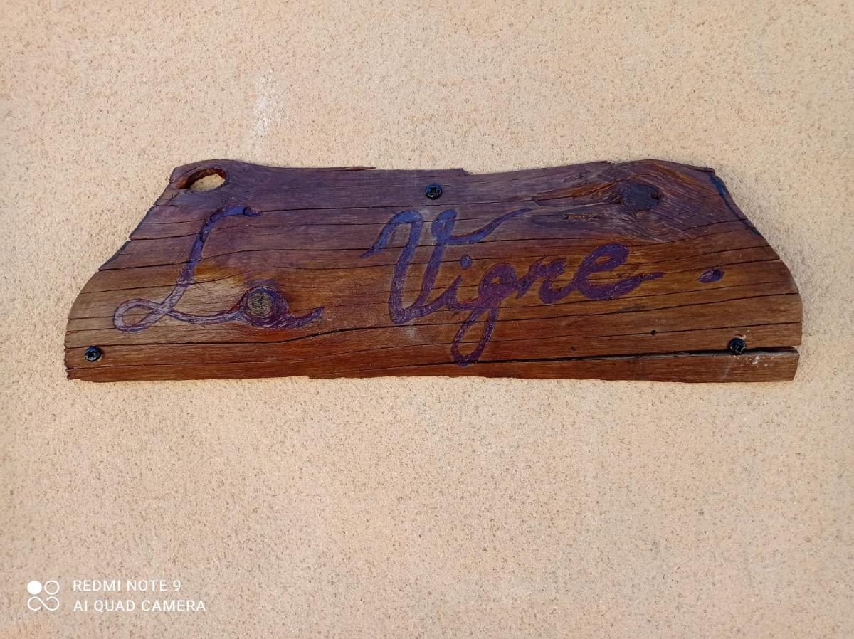 La Vigne - Housity