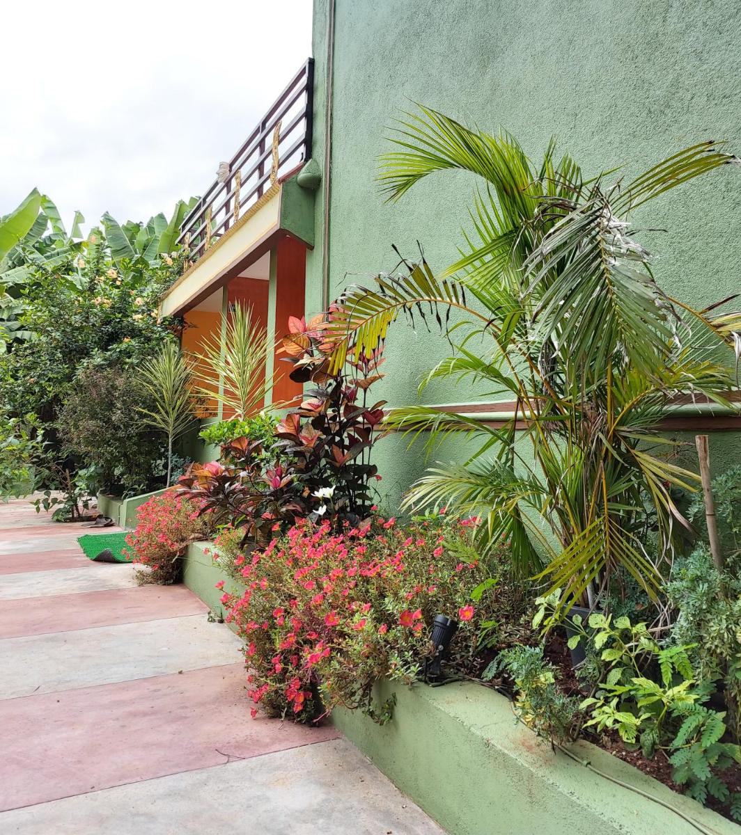BANANA FARM HOUSE - Housity