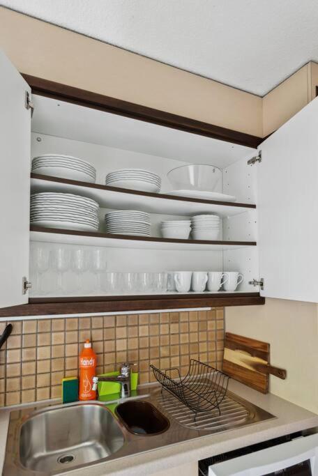 Spacious Apartment in the heart of Zurich ZLTWG68 - Housity