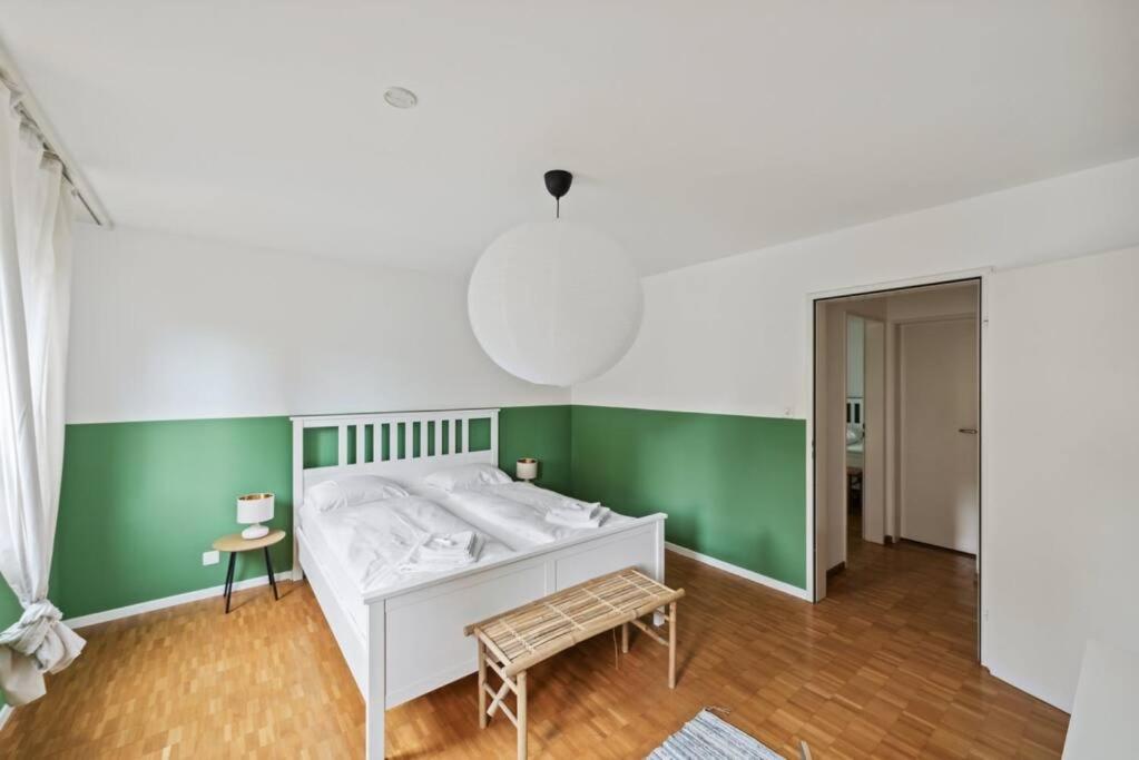 Spacious Apartment in the heart of Zurich ZLTWG68 - Housity