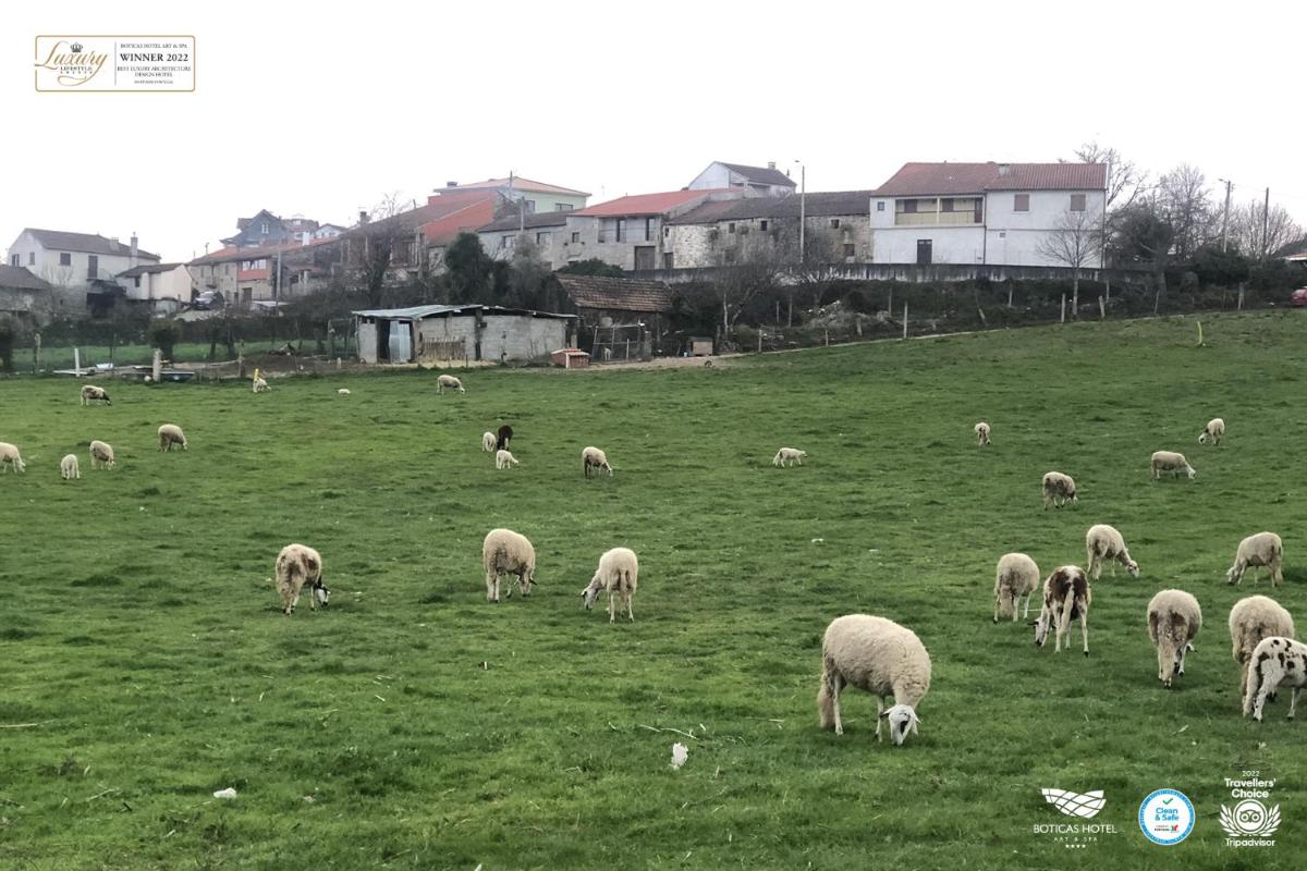 Animais no hotel ou nos arredores