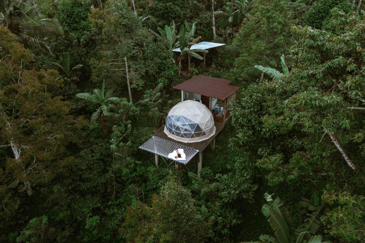 Bali Jungle Camping by Amerta Experience - Housity