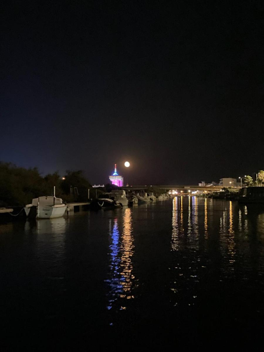 La lagune aux oiseaux - Housity