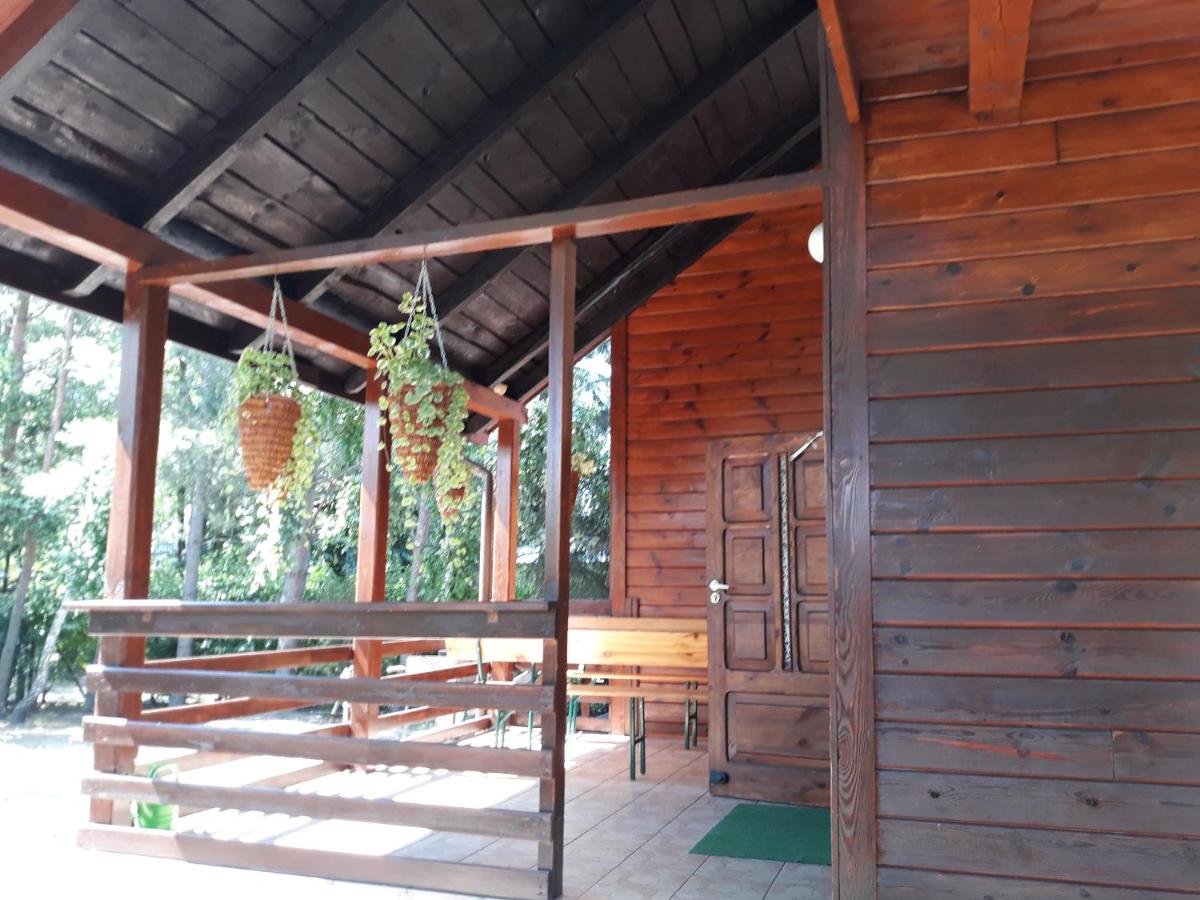 Chata u Sylwii - Housity