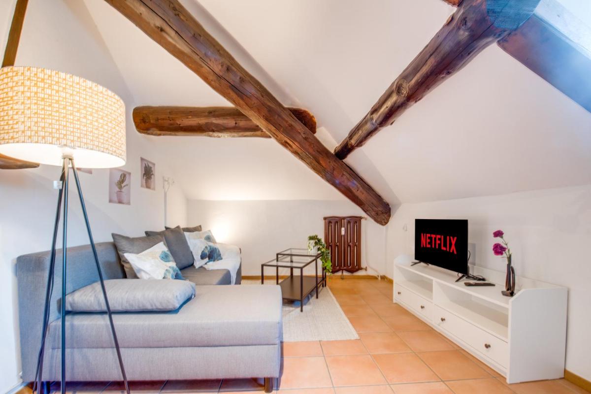 Splendida Mansarda in centro a 5 stelle - Housity