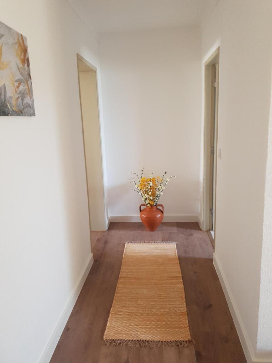 Monte das Flores Casa de Campo - Housity