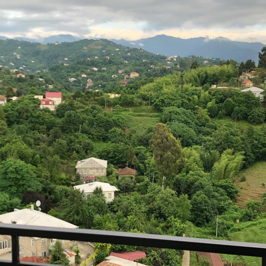 Freshness of the mountains - Housity