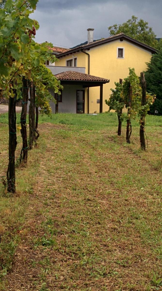 Small house in Vipava valley - Housity
